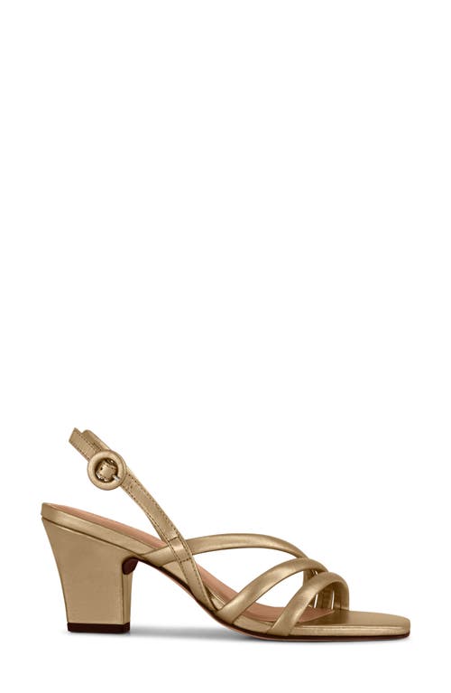 Bernardo Footwear Naples Block Heel Sandal