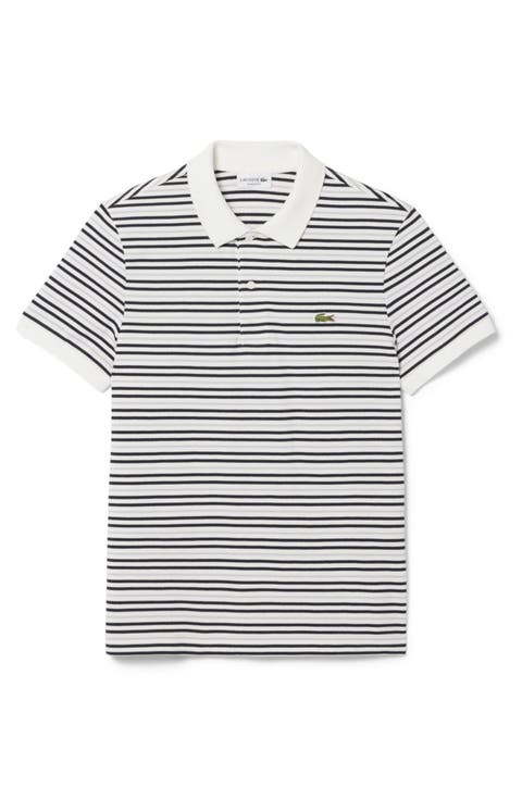 Essentials Regular Fit Cotton Piqué Polo