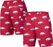 Columbia Men's Columbia Cardinal Arkansas Razorbacks PFG Backcast™ III Omni-Shade™ Shorts