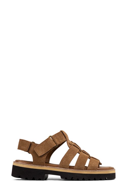 Donald Pliner Pryme Lug Sole Fisherman Sandal In Saddle