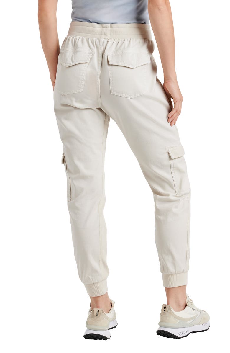 Splendid Jaclyn Drawstring Waist Joggers, Alternate, color, Pale Oak