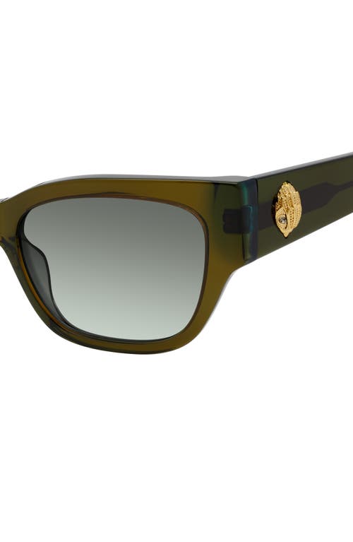 Kurt Geiger London 53mm Cat Eye Sunglasses In Khaki/khaki Gradient