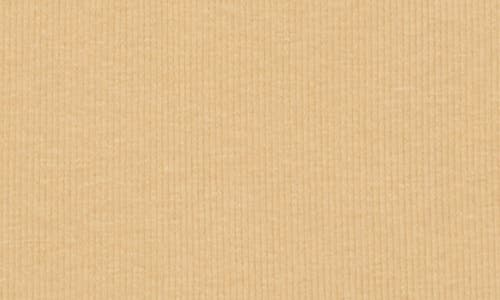 Rag & Bone Essie Ribbed Henley In Brown