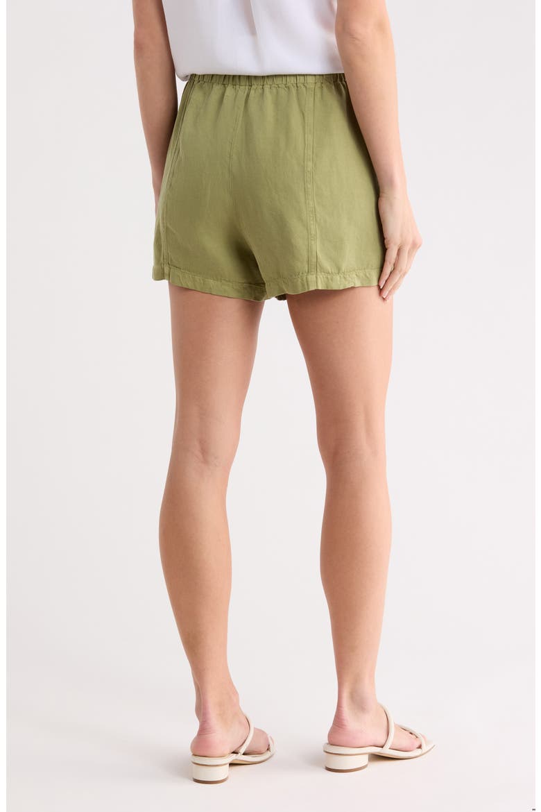 Drawstring Waist Shorts, Alternate, color, SUMMER MOSS