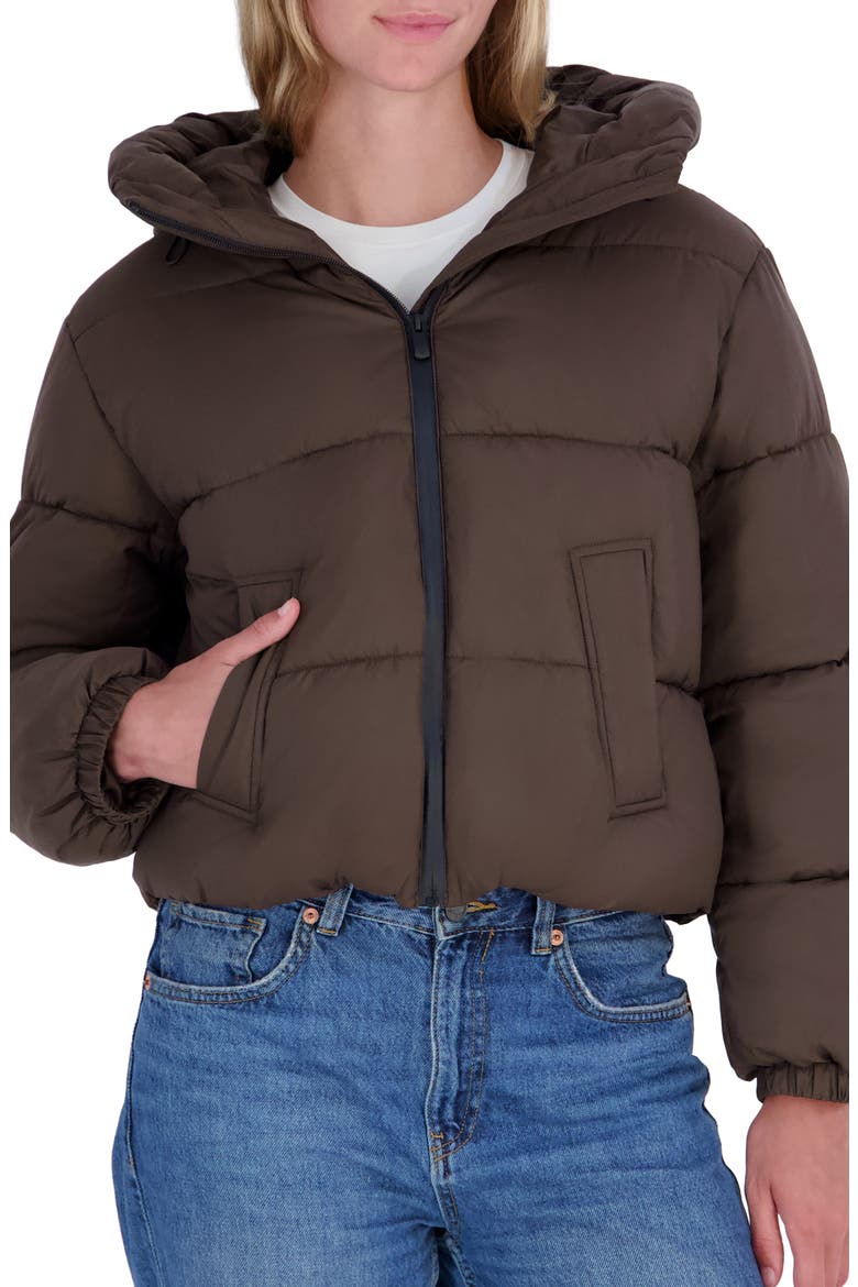 Audrey Hooded Puffer Jacket, Main, color, S10