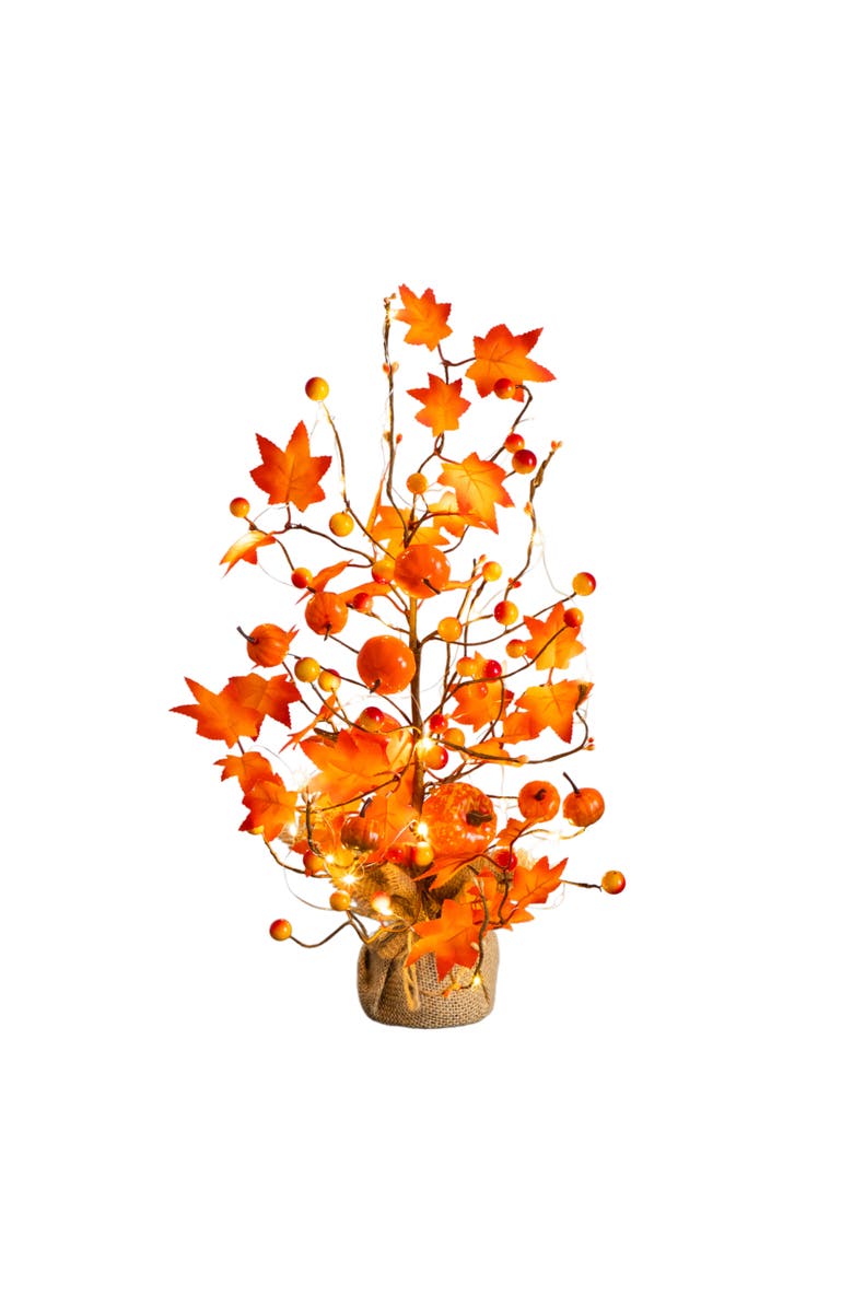 NEARLY NATURAL 18-in Pre-Lit Artificial Maple Tree with Pumpkin Ornaments and 30 LED String Lights in Burlap Wrapped Base Base, Main, color, Orange