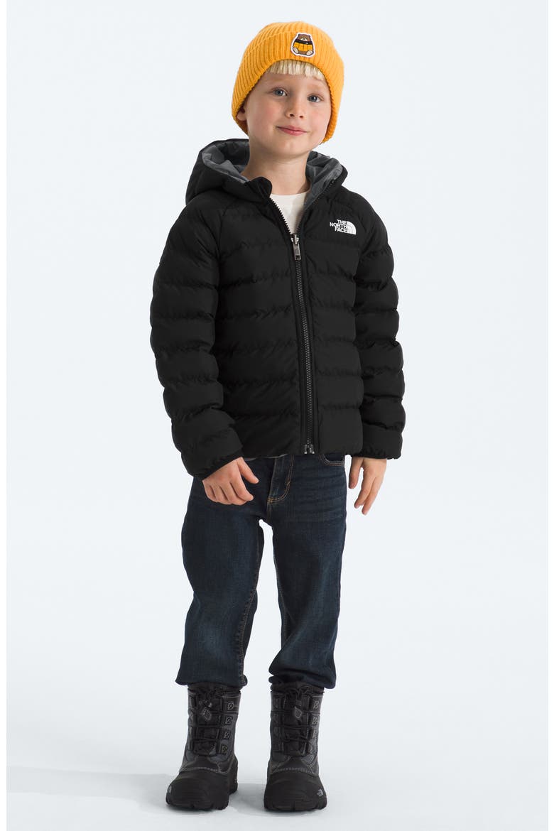 Kids' Perrito Reversible Water Repellent Jacket, Alternate, color, TNF BLACK SMOKED PEA