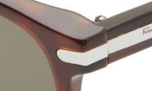 Ferragamo Timeless 53mm Rectangular Sunglasses In Brown