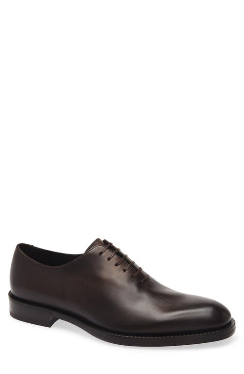 Ferragamo Dark Brown Leather Amber Lace-up Shoes In Brown