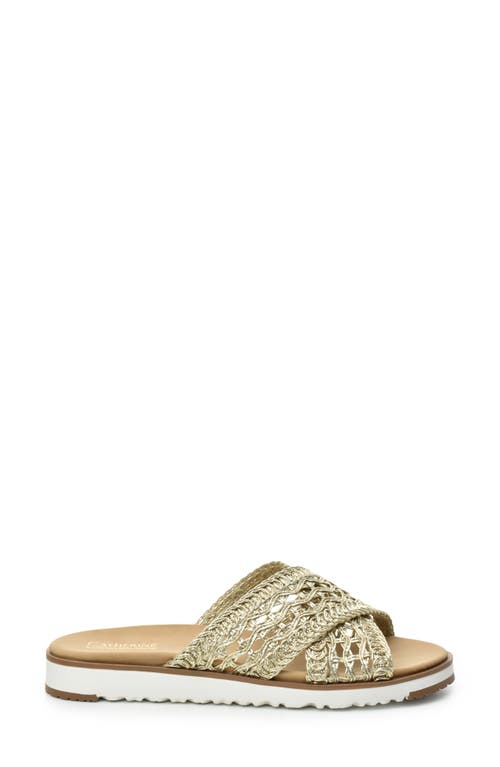 CATHERINE CATHERINE MALANDRINO CATHERINE CATHERINE MALANDRINO NETTIE WOVEN SLIDE SANDAL