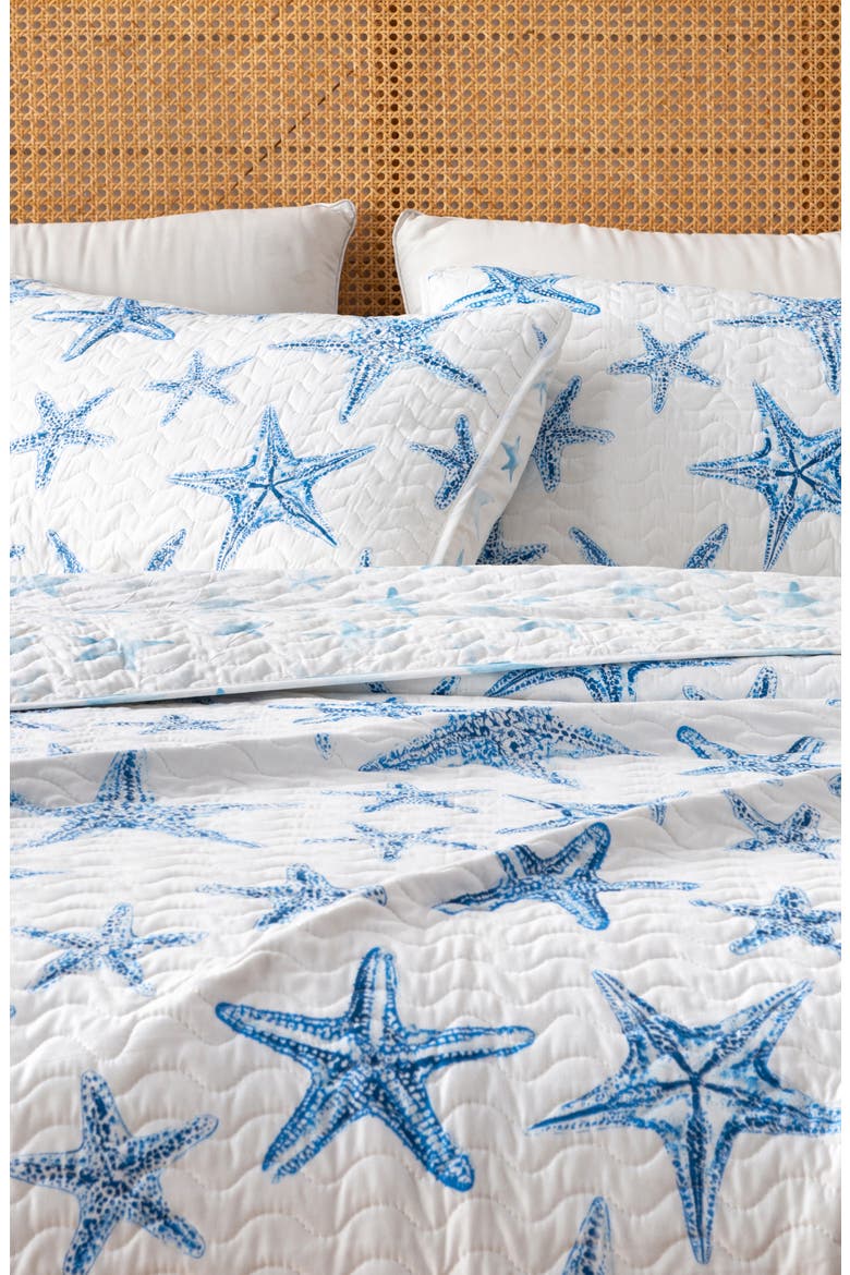 Blue Starfish Quilt Set, Alternate, color, BLUE