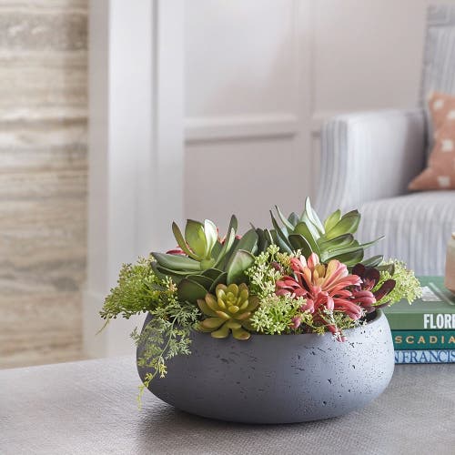 Cg Hunter Round Artificial Succulent Arrangement, Gray Planter In Gray