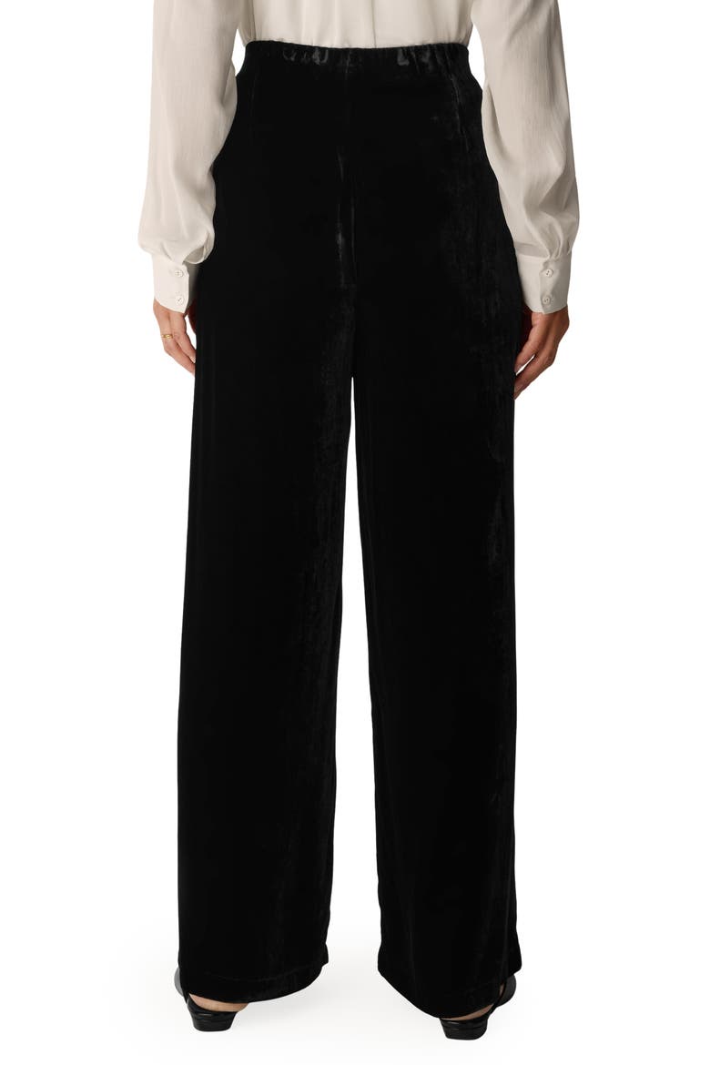 Velvet Wide Leg Pants, Alternate, color, BLACK