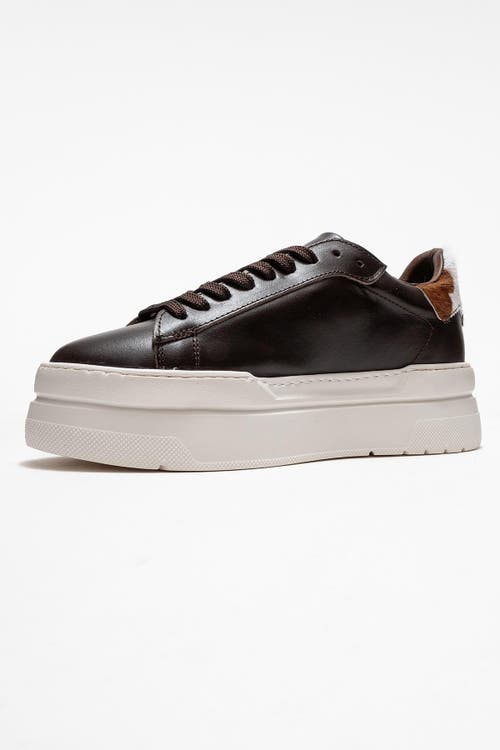 Forever & Always Shoes Anabel Leather Platform Sneakers In Brown