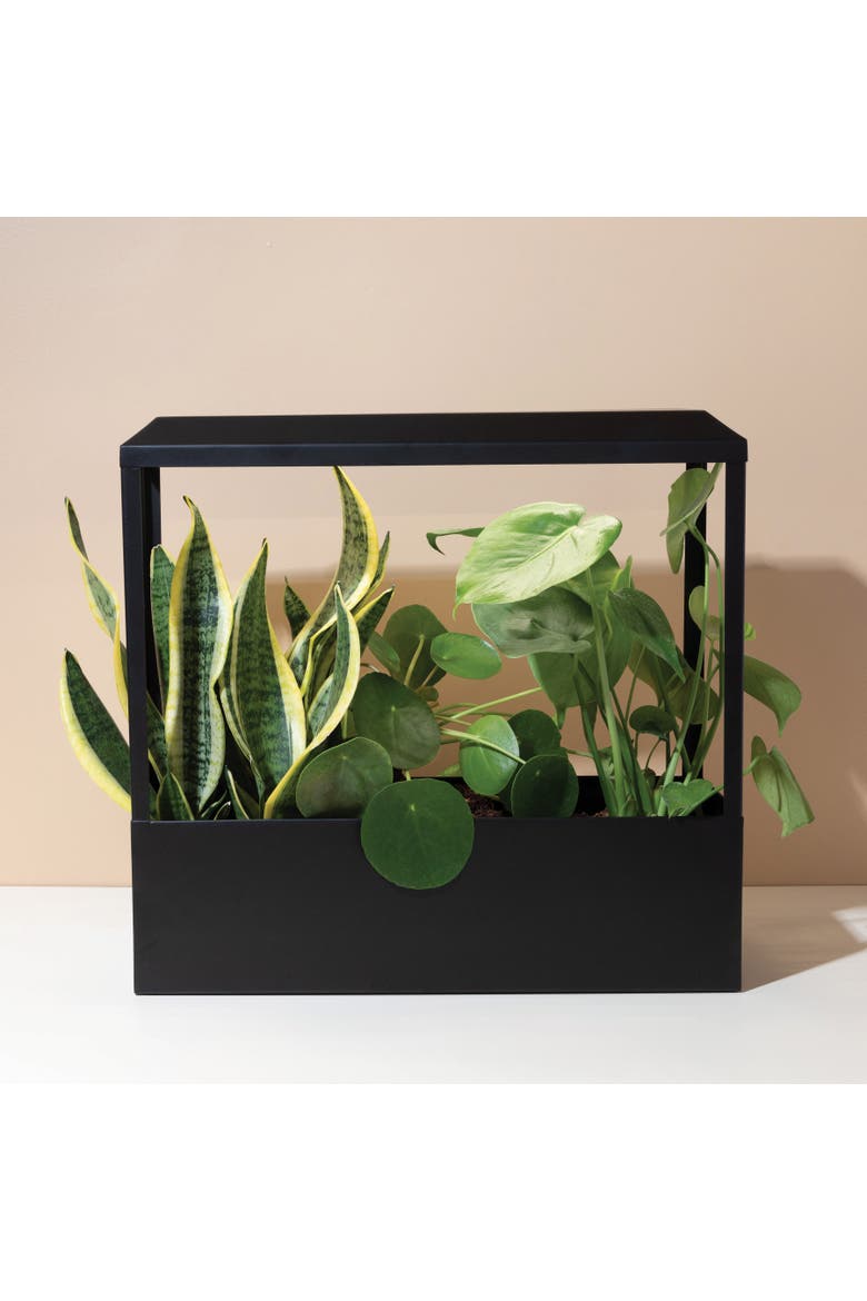 Smart Growhouse, Alternate, color, Matte Black