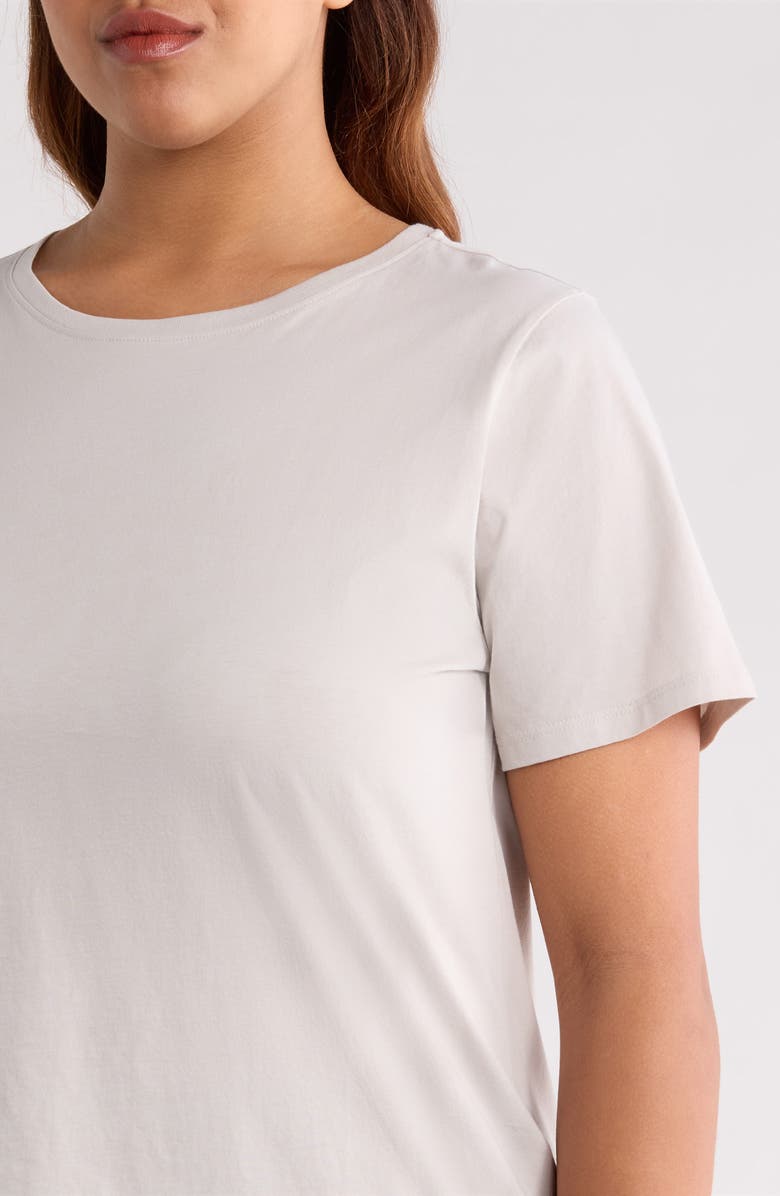 Eileen Fisher Crewneck Organic Cotton T-Shirt, Alternate, color, Chalk