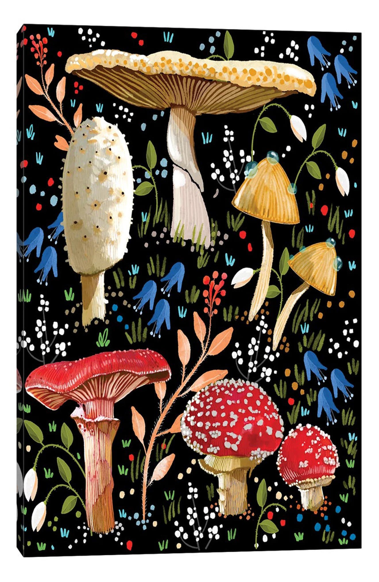 iCanvas Mushroom Love by Thomas Little Canvas Wall Art