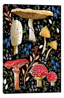 iCanvas Mushroom Love by Thomas Little Canvas Wall Art
