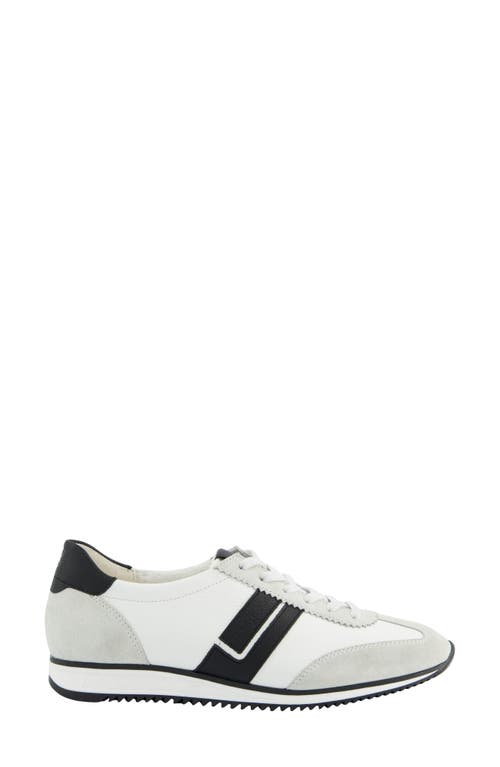 Paul Green Bellevue Sneaker In Milk White Black Combo