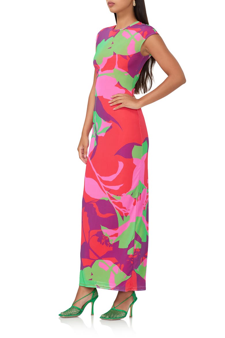 Cody Printed Cap Sleeve Mesh Maxi Dress, Alternate, color, GRAPHIC FLORAL