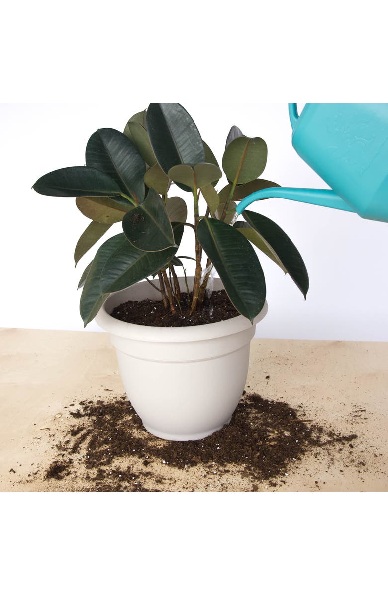 Bloem Ariana Planter with Grid, Alternate, color, Beige