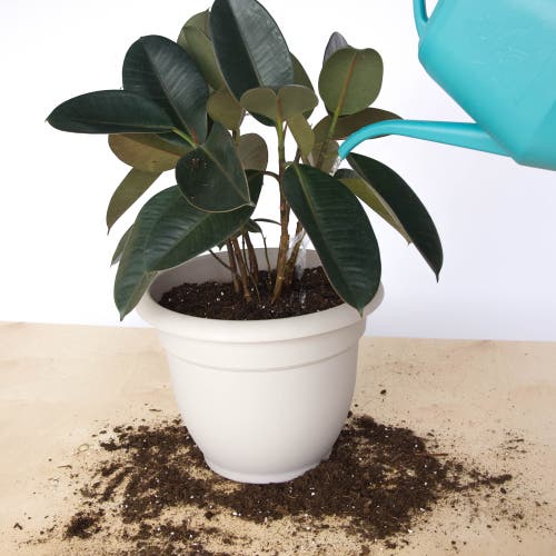 Bloem Ariana Planter With Grid In Sand