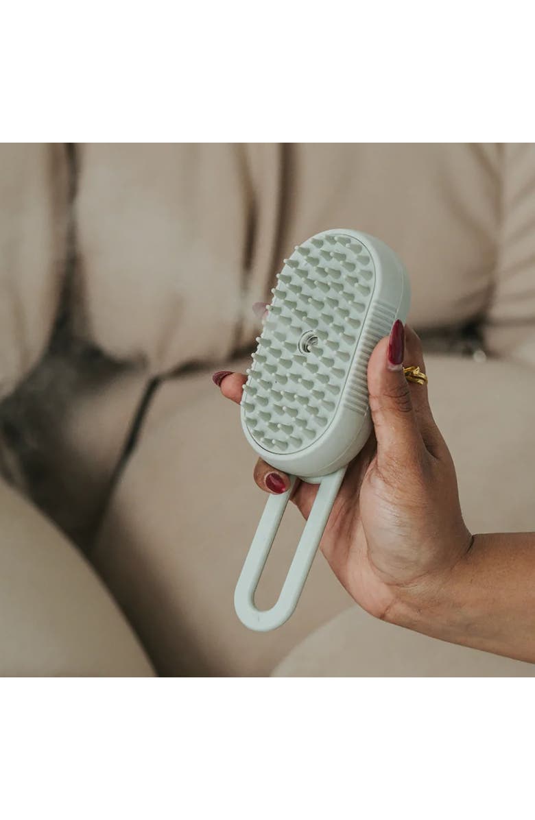 Dexypaws Spritz & Brush Pet Comb, Sage Green, Dog & Cat Grooming Tool, Alternate, color, Green