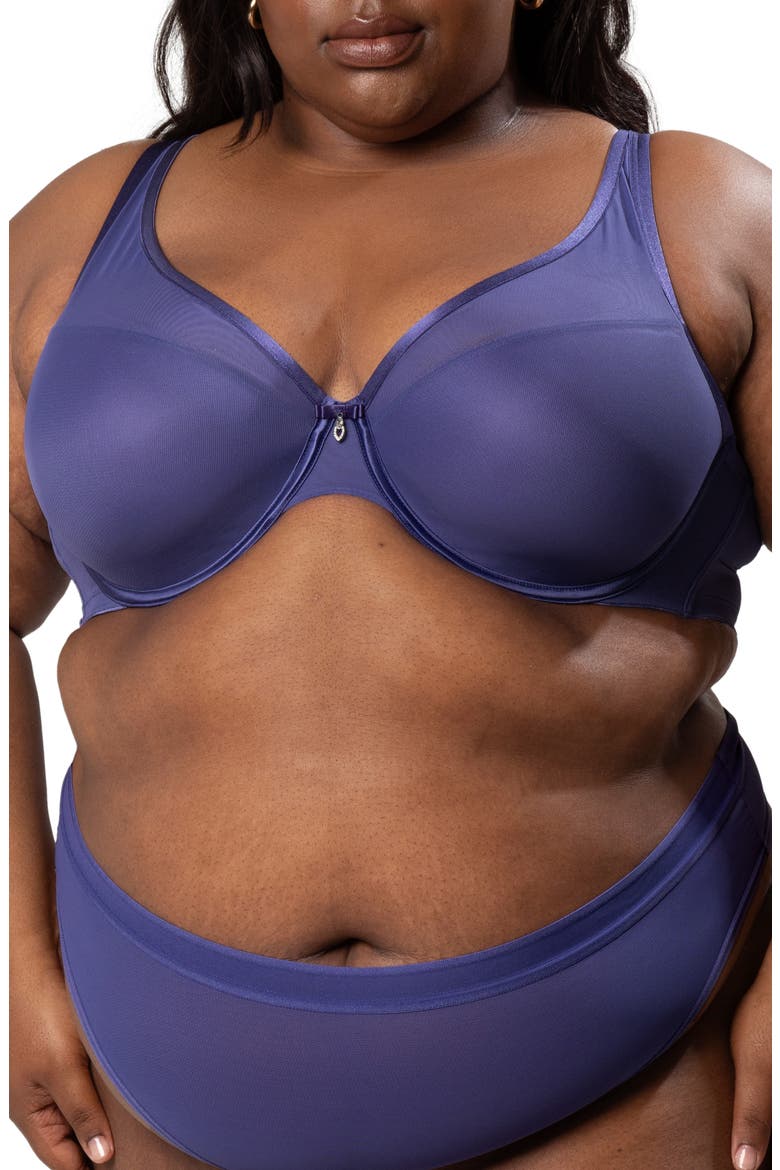 Sheer Mesh Plunge T-Shirt Bra, Main, color, VINTAGE BLUE