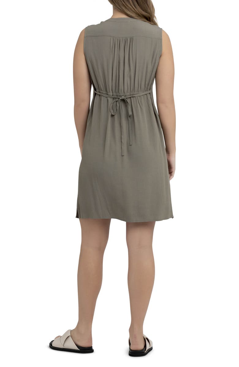 Ripe Maternity April Maternity/Nursing Sleeveless Shirtdress Dress, Alternate, color, 