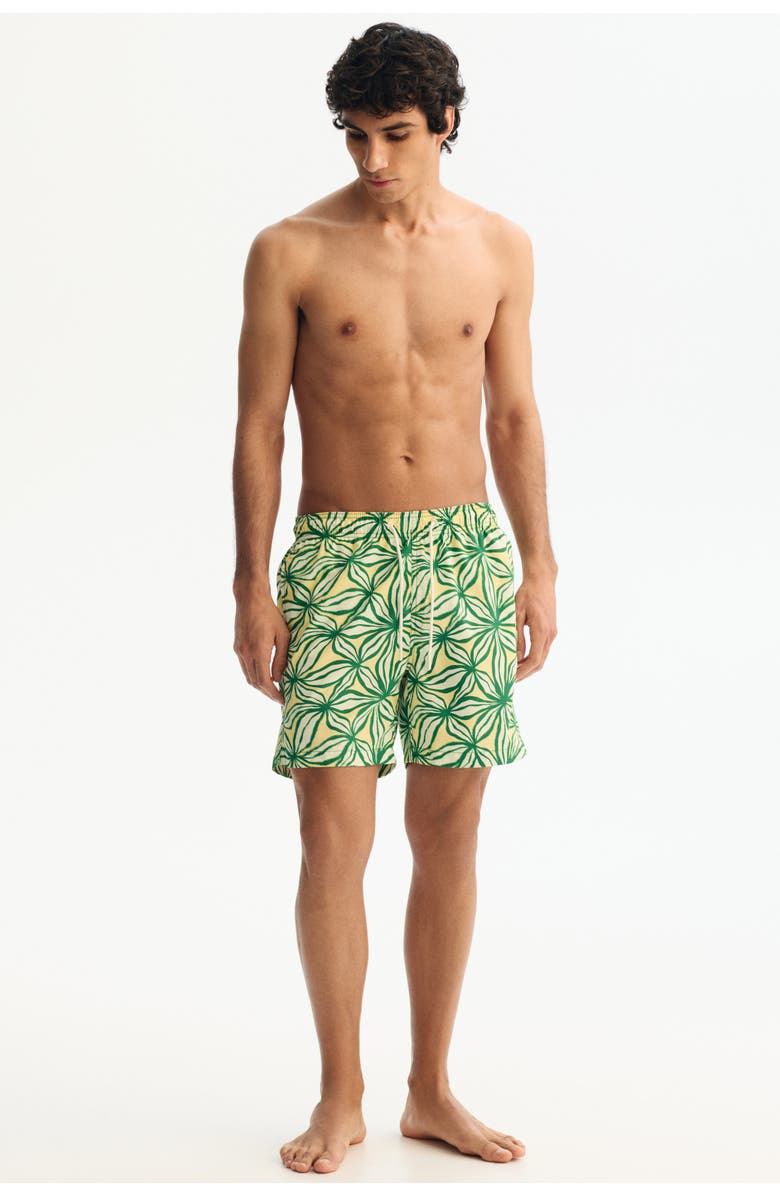 H&M Patterned Swim Shorts, Alternate, color, Green/Patterned