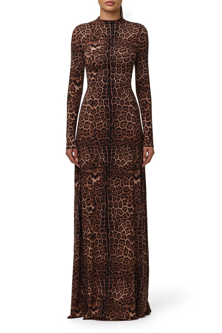 Leopard Print Long Sleeve Maxi Dress video