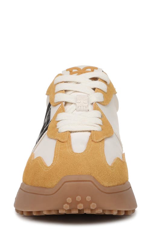 Sam Edelman Langley Sneaker In Multi