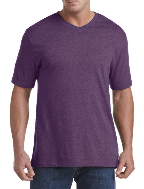 Big & Tall Moisture-Wicking Jersey V-Neck T-Shirt