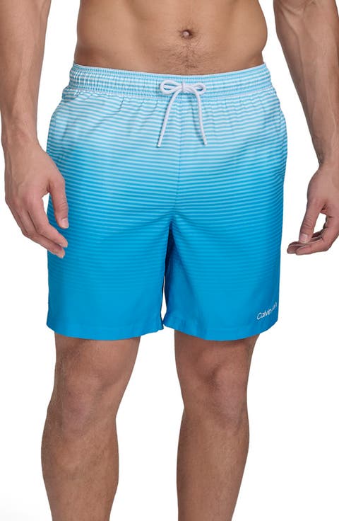 Graphite Stripe Core Volley Swim Trunks