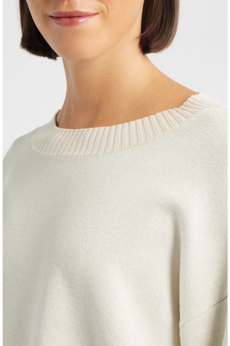 Crop Stripe Sleeve Sweater, Alternate, color, SAND