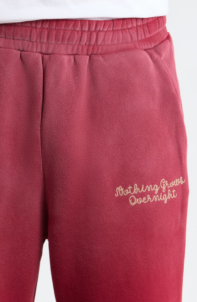 N.G.O. Running Horse Wide Leg Cotton Fleece Sweatpants, Alternate, color, Maroon