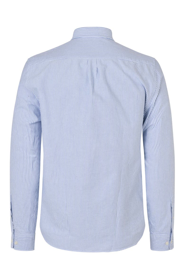 Saliam Cotton Button Down Shirt, Alternate, color, OXFORD NARROW STRIPE