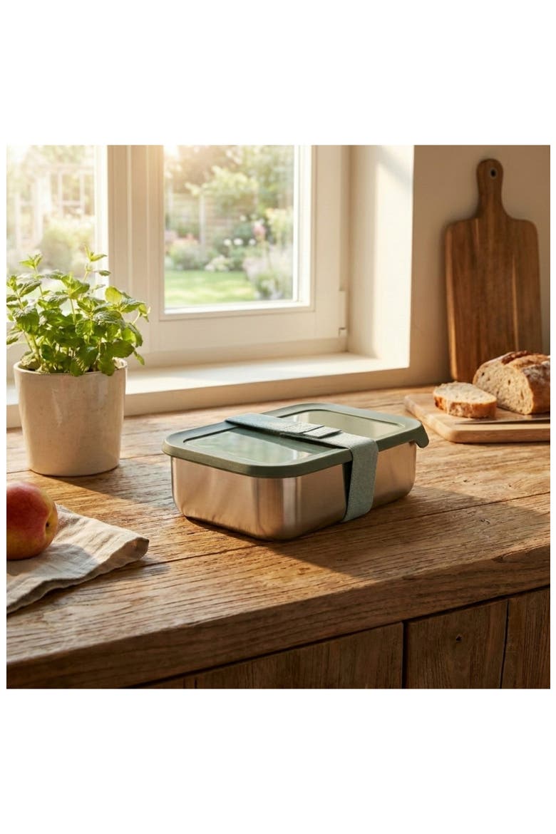Leo Balance Stainless Steel Lunch Box, Alternate, color, SAGE