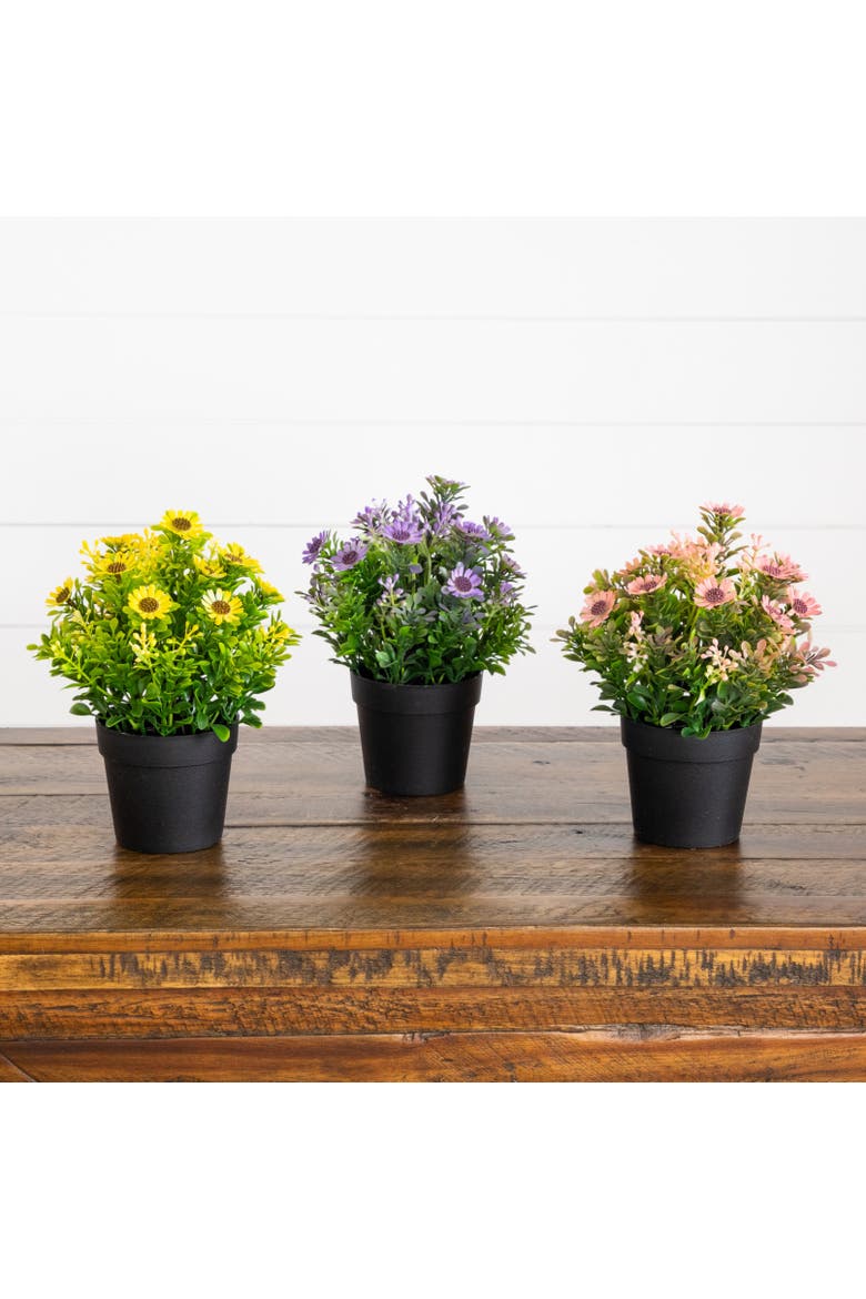 8-in Artificial Flowering Daisy in Black Pot - Set of 3, Alternate, color, Assorted