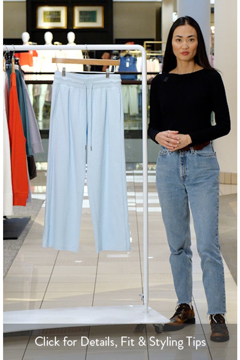 Ankle Wide Leg Travel Pants video