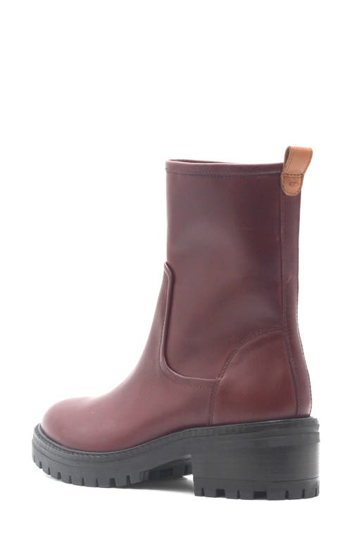 Gentle Souls Bailah Platform Bootie In Burgundy