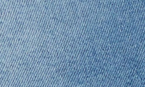 Splendid Classic Denim Jacket In Blue