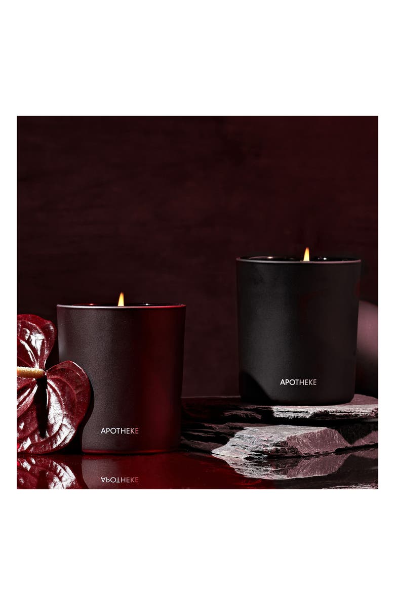 APOTHEKE Charcoal & Charcoal Rouge Scented Candle Duo, Alternate, color,