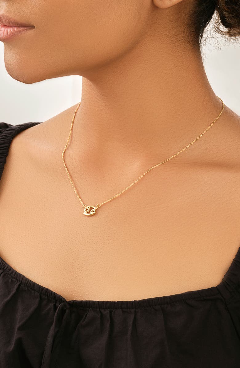 Sterling Forever Zodiac Pendant Necklace, Alternate, color,