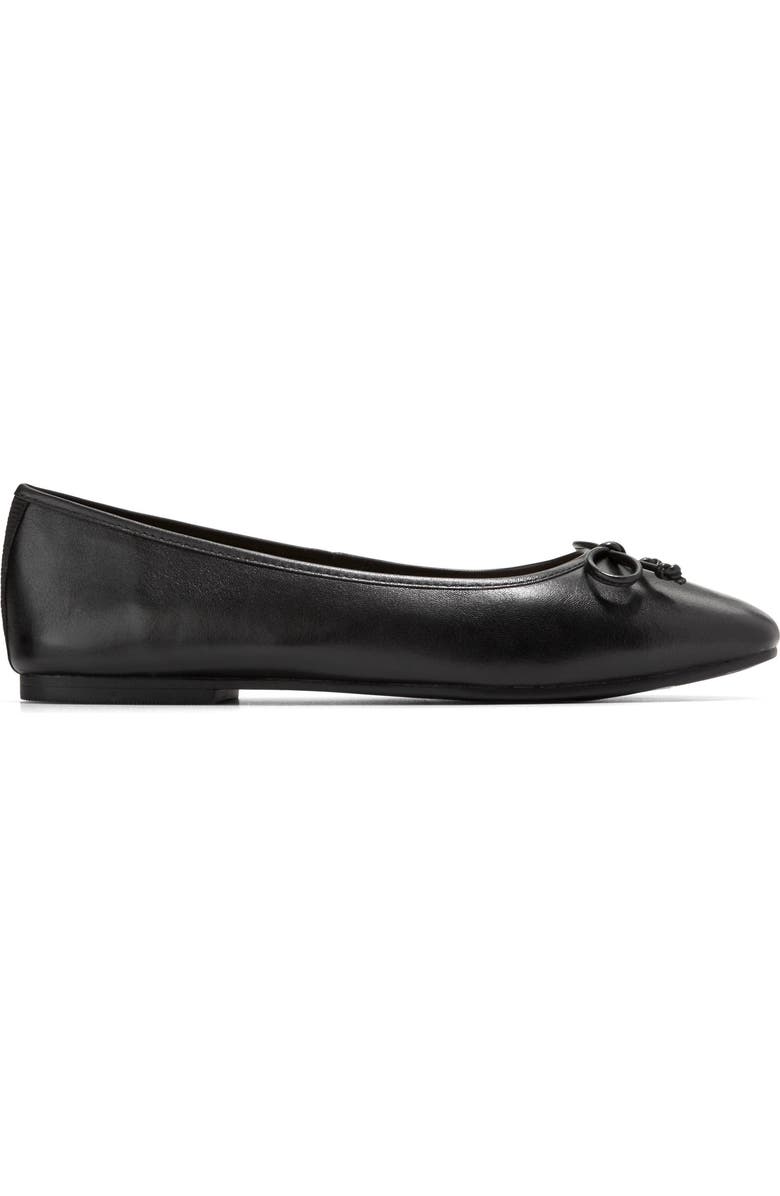 Cole Haan Yara Ballet Flat, Alternate, color, Black Ltr