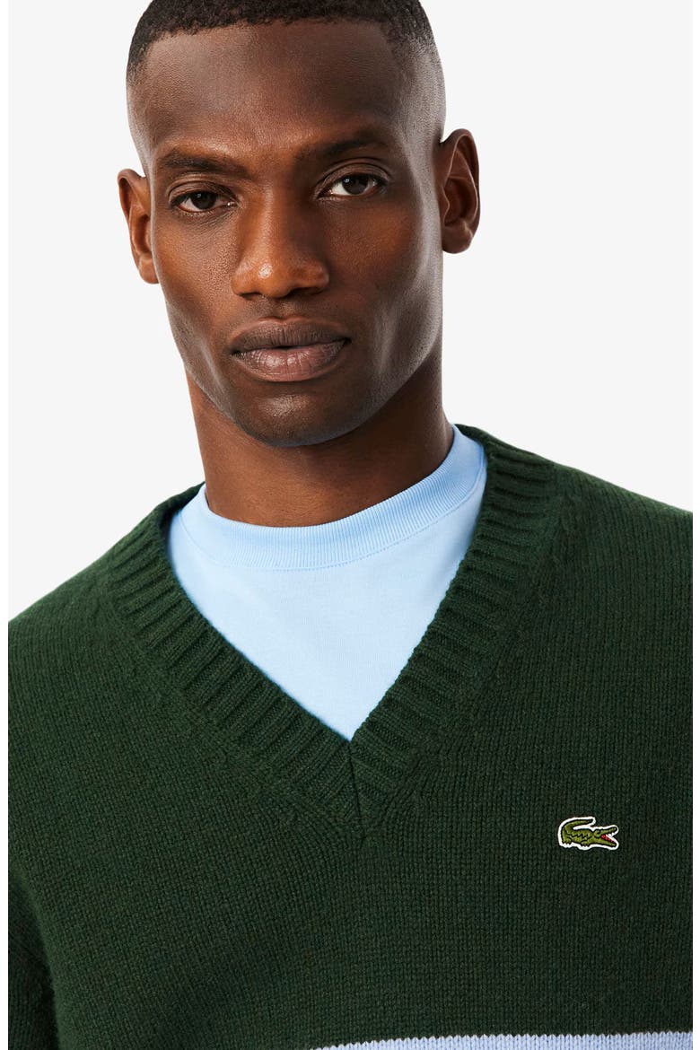 Classic Stripe Wool V-Neck Sweater, Alternate, color, SINOPLE/ OVERVIEW