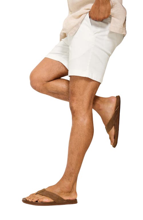 Tommy Bahama Boracay Flat Front Shorts