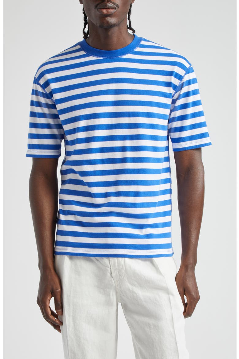 Stripe Cotton Hiking T-Shirt, Main, color, NAVY AND WHITE