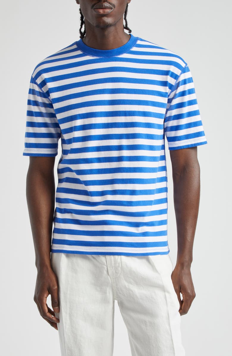 Drake's Stripe Cotton Hiking T-Shirt, Main, color, 