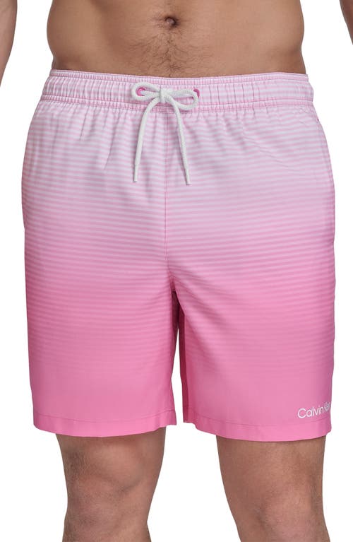 Calvin Klein Graphite Stripe Core Volley Swim Trunks In Hot Pink